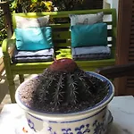 Hospedaria Fascino Del Mare Guesthouse